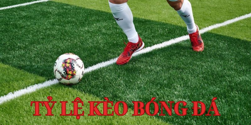 Lucky88 Giới Thiệu Các Loại Tỷ Lệ Kèo Bóng Đá Phổ Biến Hiện Nay